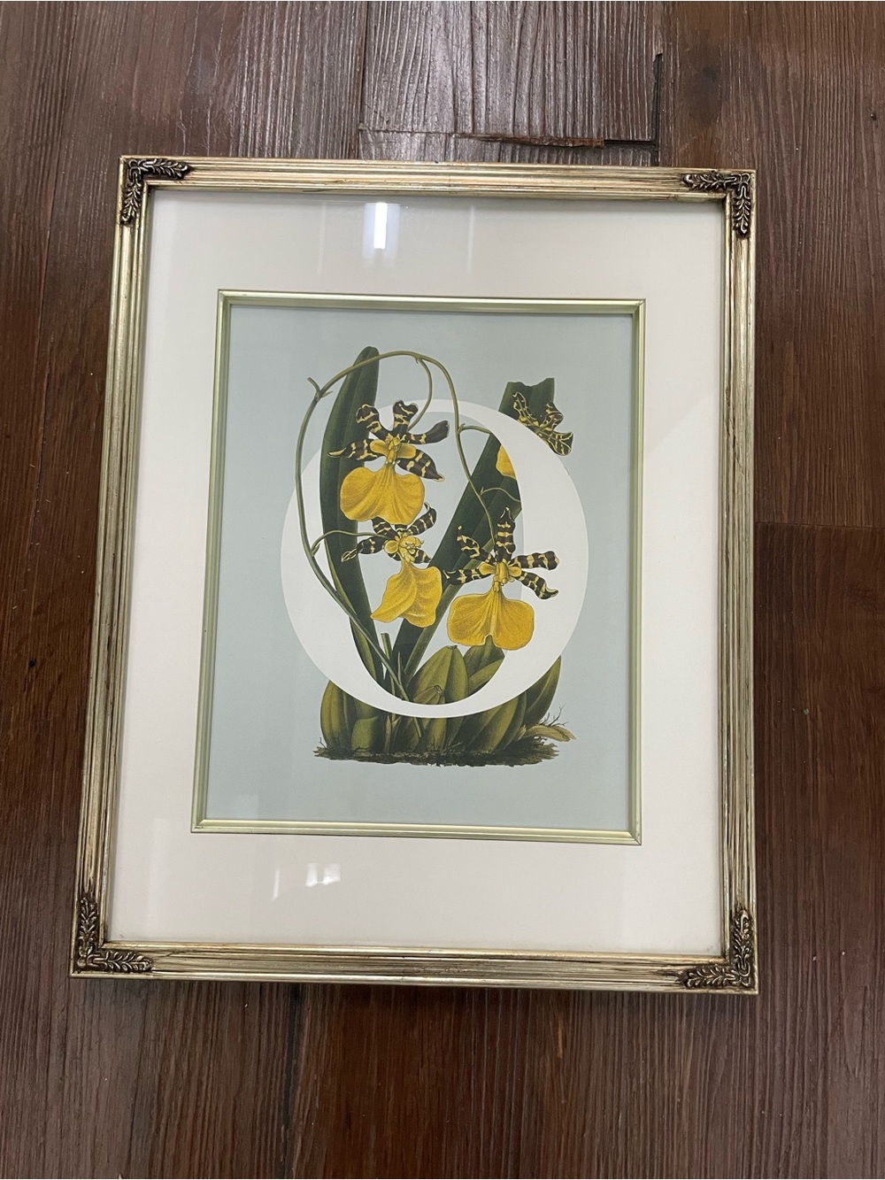 Framed Floral Botanical Art with Letter monogram O